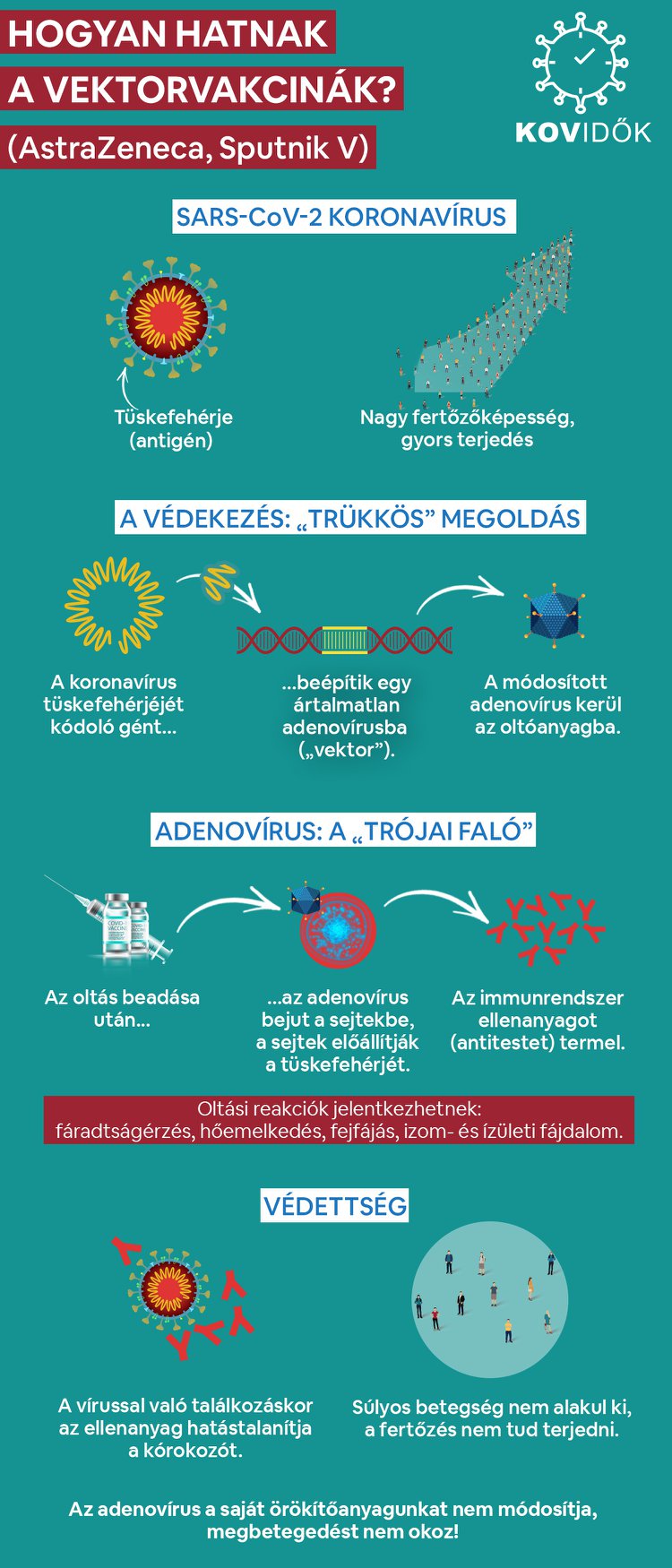 Vektorvakcinák